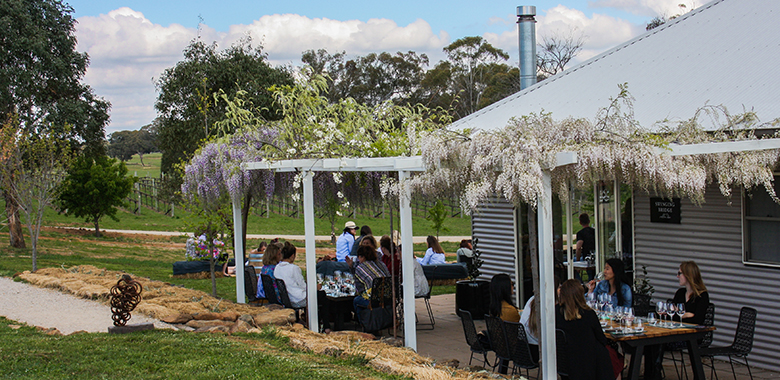 Visitors of the Swinging Bridge winery and cellar door sampling the best of the winery's individual selected block series, their best Orange region wines and their Hashtag wine series