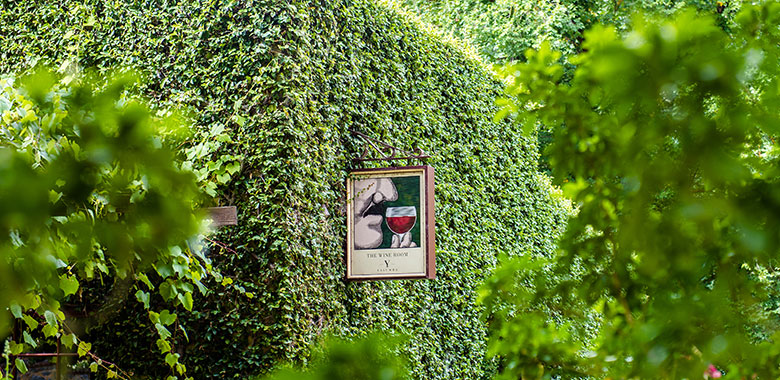 Greenery and landscape grounds of the Yalumba winery in the Barossa Valley