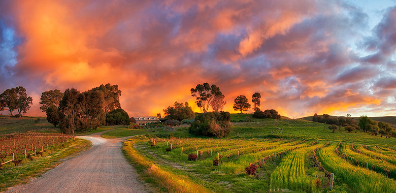 Eden Valley Winery and Cellar Door Henschke