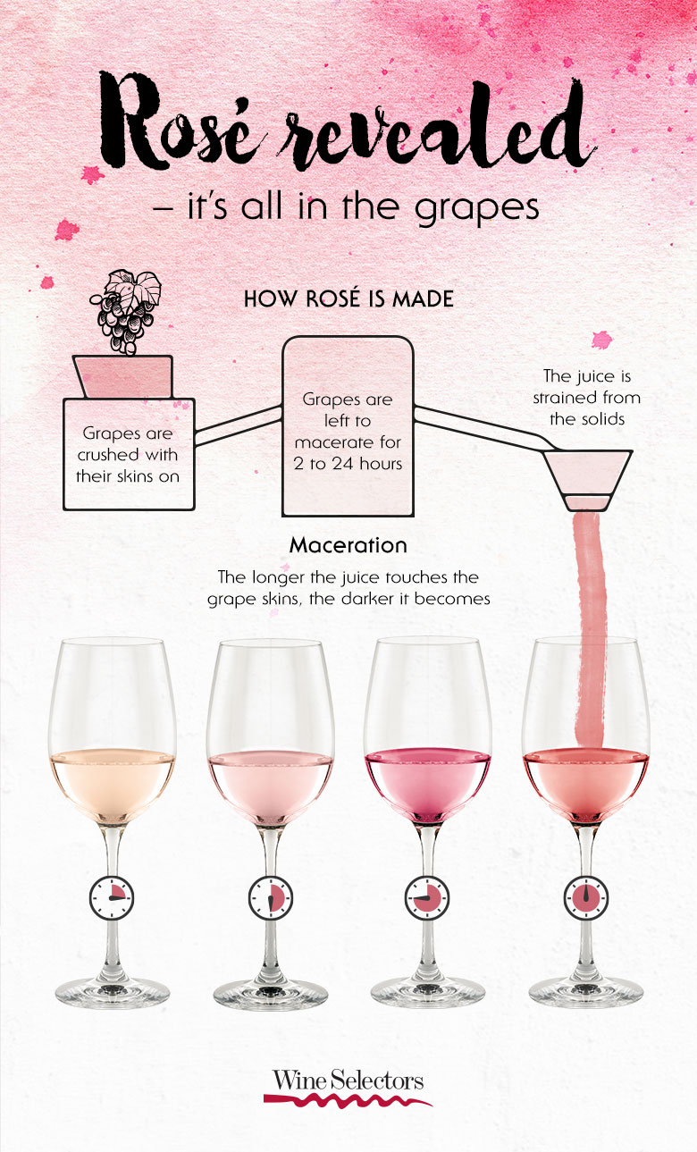 Rose wine infographic on how it is made